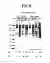 Fig. 50 - Methods for Sterilizing Tissue