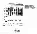 Fig. 55 - Methods for Sterilizing Tissue