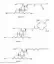 Fig. 01 - Cationic steroid antimicrobial diagnostic, detection, screening and imaging methods