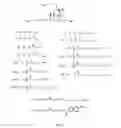 Fig. 08 - Cationic steroid antimicrobial diagnostic, detection, screening and imaging methods