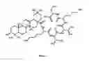 Fig. 02 - Oleanoyl peptide composition and method of treating skin aging