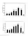 Fig. 02 - Artificial termite egg having β-glucosidase as termite egg recognition pheromone, and control of termites using the same