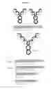 Fig. 02 - Dual variable domain immunoglobulins and uses thereof