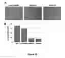 Fig. 22 - Proteins and methods for modulating cell activity