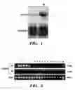 Fig. 02 - MELANOMA BIOMARKER AND METHODS OF USES