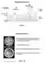 Fig. 02 - METHODS AND COMPOSITIONS FOR THE DELIVERY OF VACCINES TO DISRUPTED EPITHELIUM