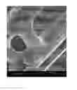 Fig. 01 - OLIGOFLUORINATED CROSS-LINKED POLYMERS AND USES THEREOF