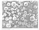 Fig. 01 - METHOD FOR PRODUCING MICROCAPSULES USING SOLID FAT