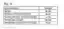 Fig. 07 - VIRTUAL BOOK