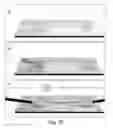 Fig. 49 - Device And Use Thereof