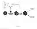 Fig. 02 - Ultrasensitive detection of target using target-ready particles