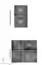 Fig. 02 - CENTROSOME-ASSAY