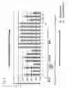Fig. 07 - CENTROSOME-ASSAY