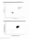 Fig. 06 - METHOD FOR DETERMINING DNA COPY NUMBER BY COMPETITIVE PCR