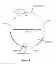 Fig. 07 - Vectors and Methods for Screening Cells for High Expression of  Protein of Interest (POI)