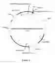 Fig. 08 - Vectors and Methods for Screening Cells for High Expression of  Protein of Interest (POI)