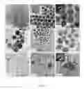 Fig. 05 - Processing of nanoparticles