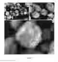 Fig. 06 - Processing of nanoparticles