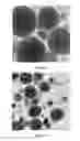 Fig. 13 - Processing of nanoparticles