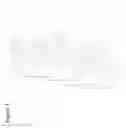 Fig. 02 - Differentiation of Pluripotent Stem Cells