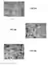 Fig. 07 - Method for fabricating foam scaffolds to culture cells