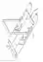 Fig. 06 - Infant Water Ski Apparatus and Method