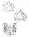 Fig. 07 - Multifunction brassiere cup