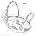 Fig. 02 - Emergency bra mask