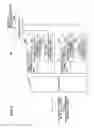Fig. 05 - Base station apparatus, user equipment terminal, and communication control method