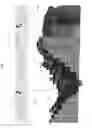 Fig. 02 - WIRELESS COMMUNICATION DEVICE