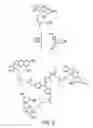 Fig. 09 - Oligomeric spiropyrans for erasable medium applications