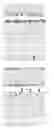 Fig. 09 - Methods of affinity maturing antibodies