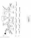 Fig. 02 - Deducing exon connectivity by RNA-templated DNA ligation/sequencing