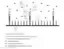 Fig. 01 - IMPROVED MOLECULAR-BIOLOGICAL PROCESSING EQUIPMENT