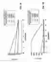 Fig. 02 - Modified Nucleic Acid Probes