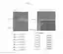 Fig. 09 - Cell-permeable endostatin recombinant protein, a polynucleotide encoding the same, and an anti-cancer preparation containing the same as an active component