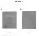 Fig. 03 - COMPOSITIONS AND METHODS FOR DIAGNOSING AND TREATING PANCREATIC CANCER