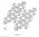 Fig. 02 - MONOMERIC PYROPHOSPHATE COMPLEXES AND  METHODS OF TREATMENT USING THE COMPLEXES