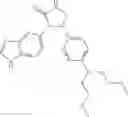 Fig. 263 - Inhibitors