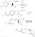 Fig. 307 - Inhibitors