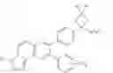 Fig. 08 - Substituted [1,2,4]triazolo[4′,3′:1,6]pyrido[2,3-b]pyrazines of the formula D