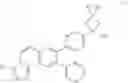 Fig. 11 - Substituted [1,2,4]triazolo[4′,3′:1,6]pyrido[2,3-b]pyrazines of the formula D