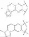 Fig. 22 - Substituted [1,2,4]triazolo[4′,3′:1,6]pyrido[2,3-b]pyrazines of the formula D