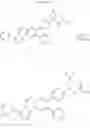 Fig. 43 - Substituted [1,2,4]triazolo[4′,3′:1,6]pyrido[2,3-b]pyrazines of the formula D