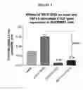 Fig. 04 - AGENTS WHICH REGULATE, INHIBIT, OR MODULATE THE ACTIVITY AND/OR EXPRESSION OF CONNECTIVE TISSUE GROWTH FACTOR (CTGF) AS A UNIQUE MEANS TO BOTH LOWER INTRAOCULAR PRESSURE AND TREAT GLAUCOMATOUS RETINOPATHIES/OPTIC NEUROPATHIES