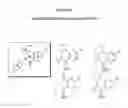 Fig. 08 - Compounds for binding to ER alpha/beta and GPR30, methods of treating disease states and conditions mediated through these receptors and identification thereof