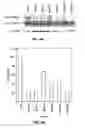 Fig. 11 - METHOD OF TREATING NEURODEGENERATIVE DISEASE