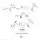 Fig. 05 - mRNA cap analogs