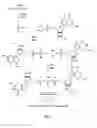 Fig. 06 - mRNA cap analogs