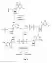 Fig. 07 - mRNA cap analogs